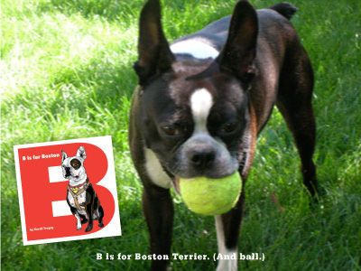 B is for Boston Terrier, a book about Buck written and illustrated by Sarah Tregay