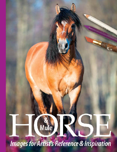 Horse and Mule Images for Artist's Reference and Inspiration, horse and mule photo / photographs book