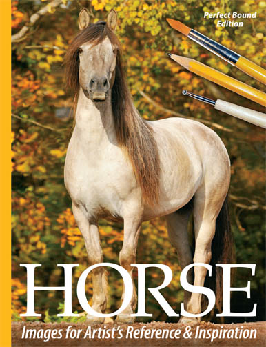 Horse Images for Artist's Reference and Inspiration a book of horse photos