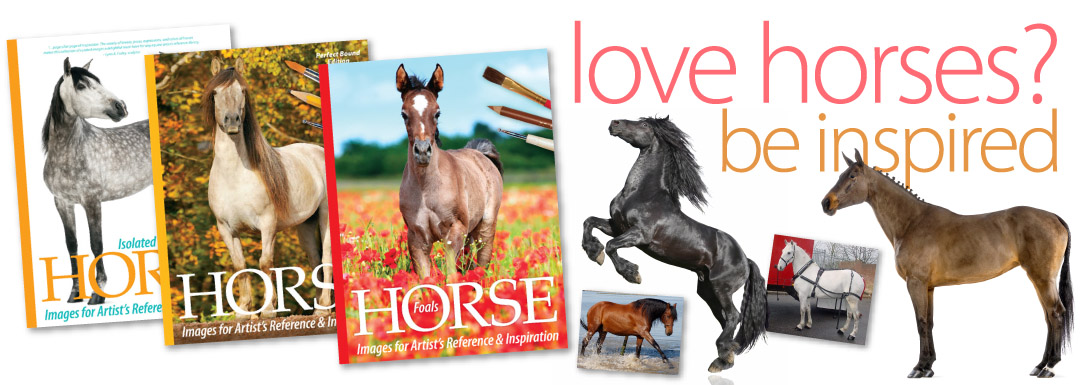 Horse Images for Artist's Reference and Inspiration... hundreds of horse photos!