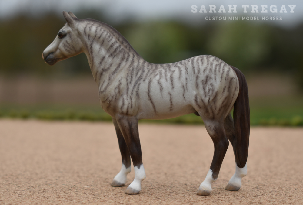 CM Breyer by Sarah Tregay, a Custom Mini/ Stablemate Model Horse to brindle grulla quarter horse