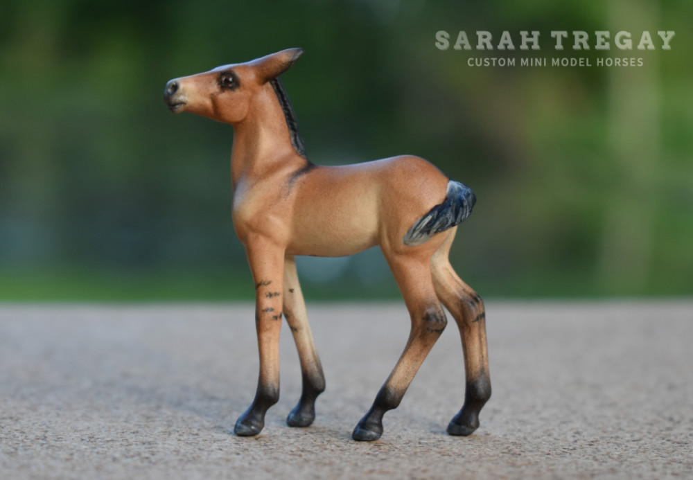CM model horse mule Custom Breyer Stablemate (mini) by Sarah Tregay buckskin baby filly mule