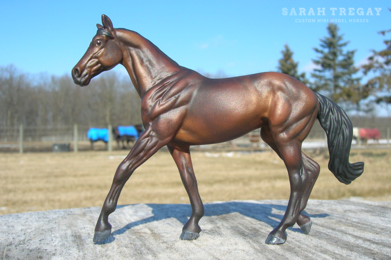 breyer stablemate custom mini model horse by Sarah Tregay