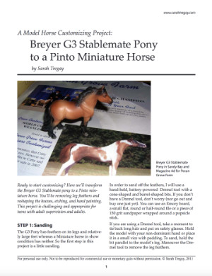 Etching Custom Stablemate Project FREE PDF by Sarah Tregay