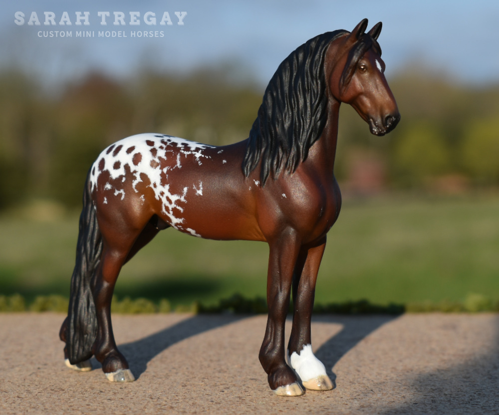 breyer stablemate custom mini model horse, appy Friesian /  cross by Sarah Tregay