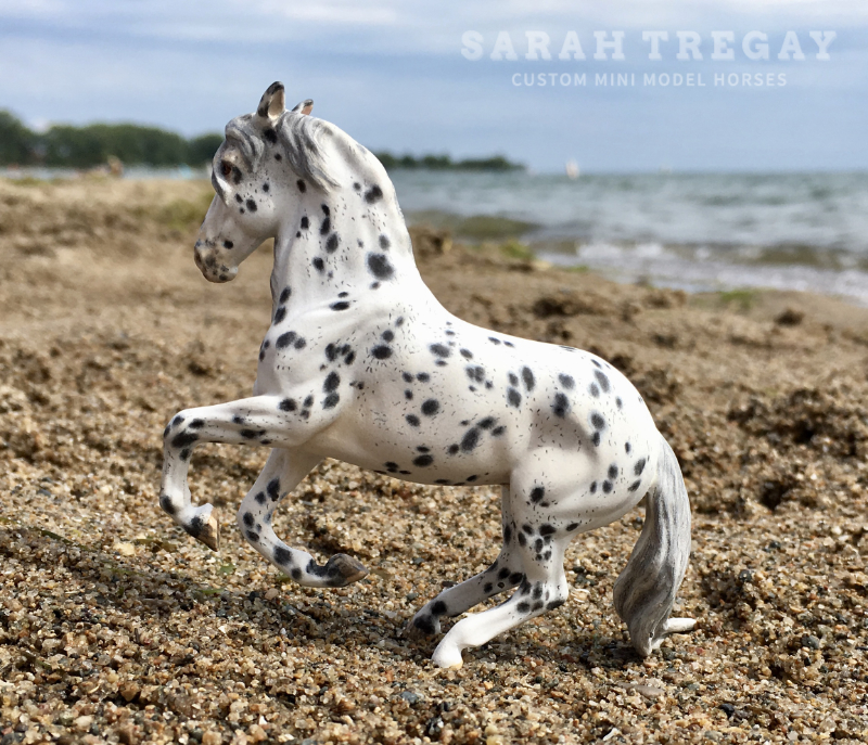 Alborozo breyer stablemate custom mini model horse in Appaloosa by Sarah Tregay