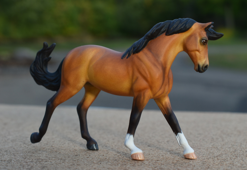 CM Breyer Golden bay cantering warmblood mare by Sarah Tregay, a Custom Mini/ Stablemate Model Horse