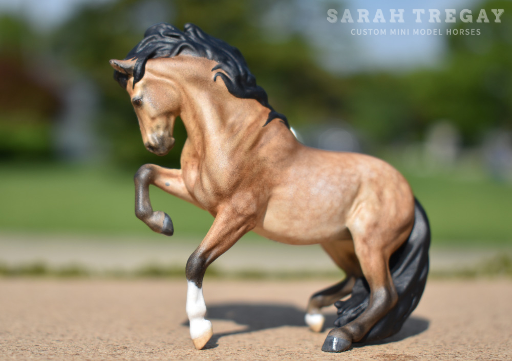 CM Breyer by Sarah Tregay, a Custom Mini/ Stablemate Model Horse Dapple Sooty Buckskin Connemara