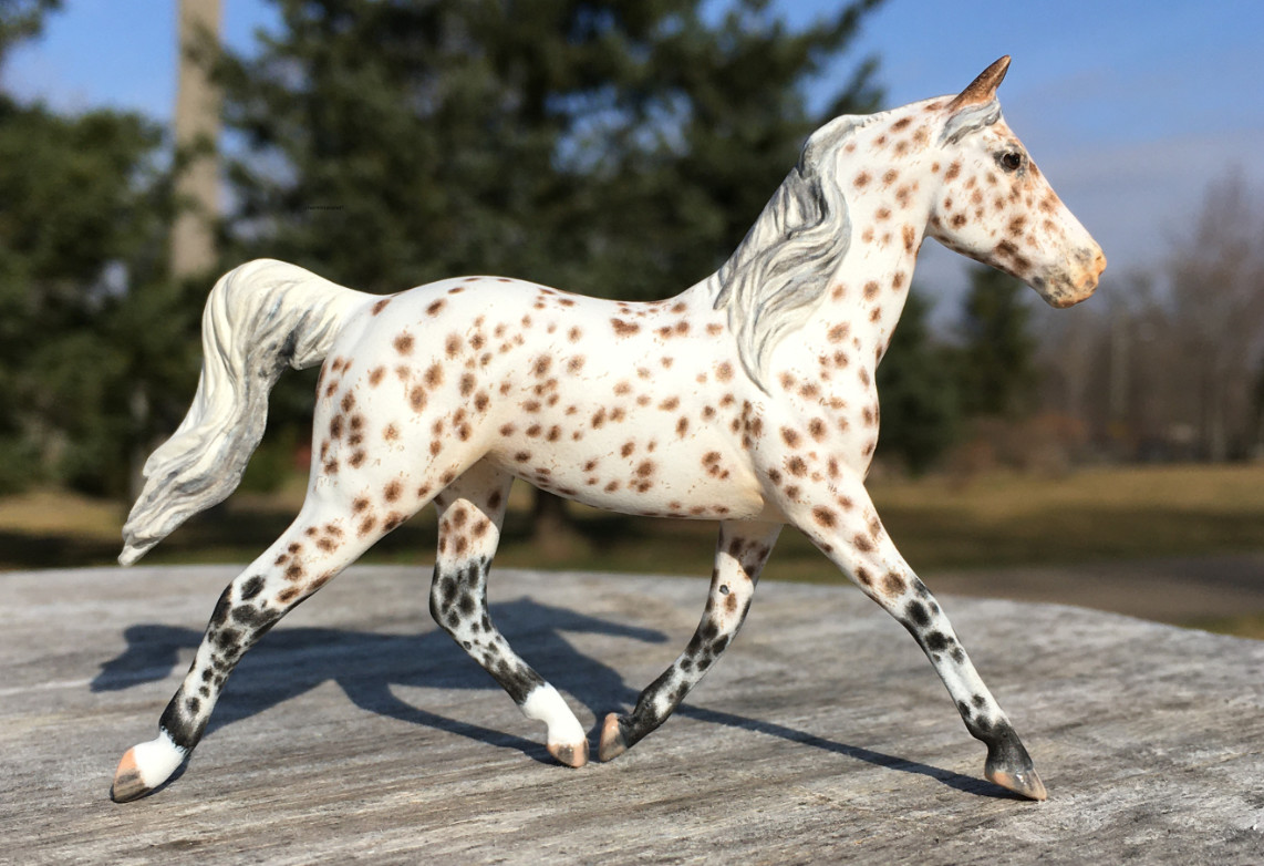 CM Breyer Prince Charming Stablemate Custom, a Arabian Appaloosa Araloosa mare by Sarah Tregay, a Custom Mini/ Stablemate Model Horse