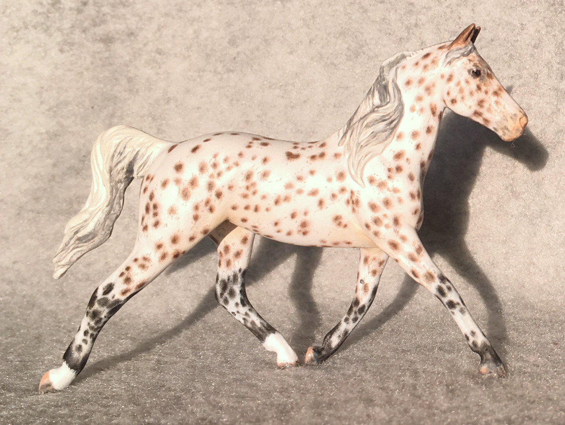 CM Breyer Prince Charming Stablemate Custom, a Arabian Appaloosa Araloosa mare by Sarah Tregay, a Custom Mini/ Stablemate Model Horse