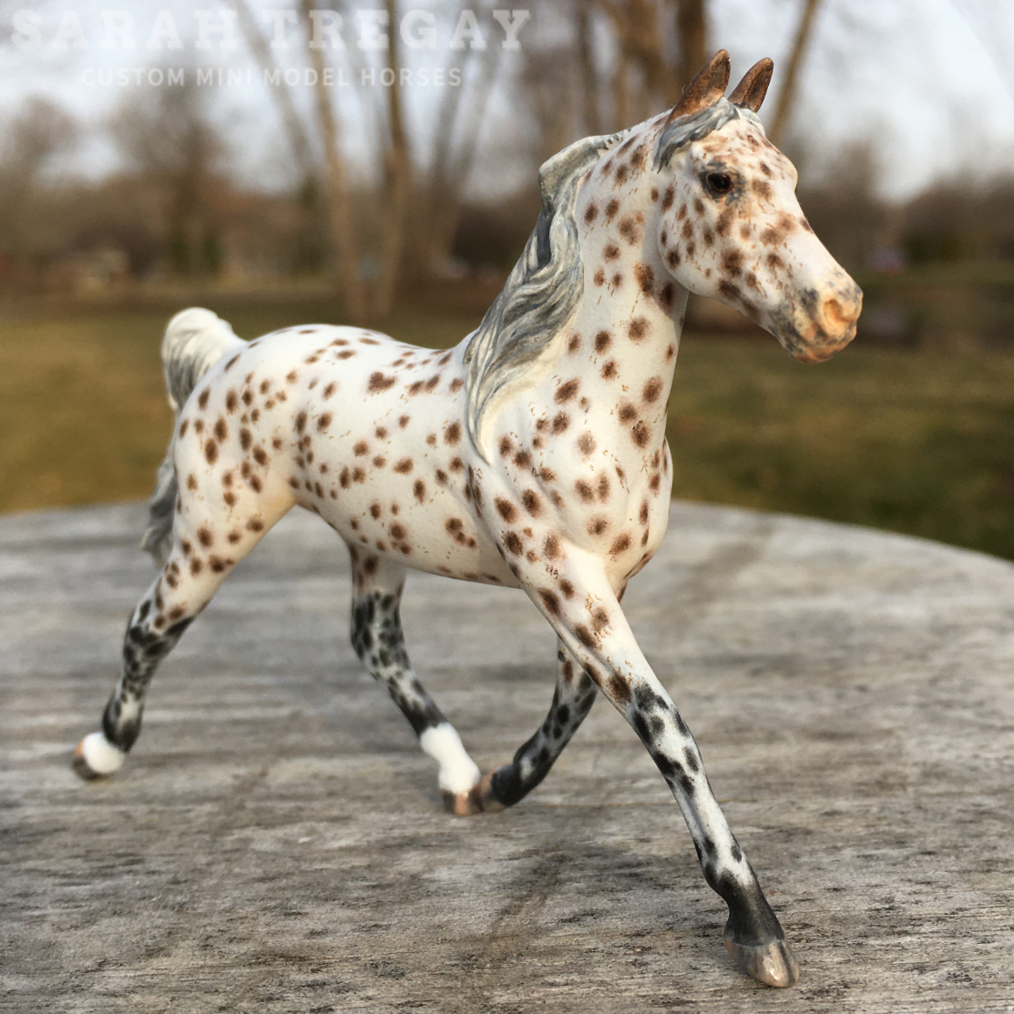 CM Breyer Prince Charming Stablemate Custom, a Arabian Appaloosa Araloosa mare by Sarah Tregay, a Custom Mini/ Stablemate Model Horse