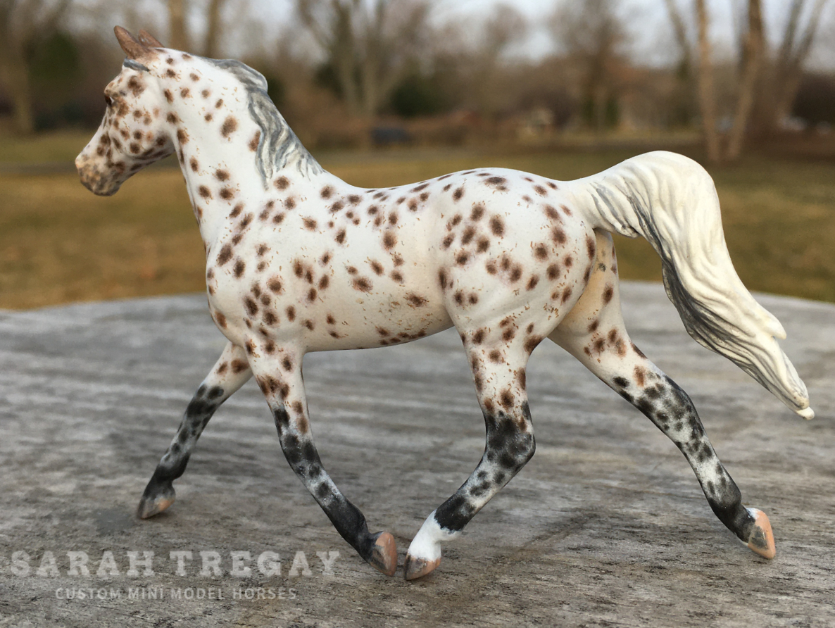 CM Breyer Prince Charming Stablemate Custom, a Arabian Appaloosa Araloosa mare by Sarah Tregay, a Custom Mini/ Stablemate Model Horse