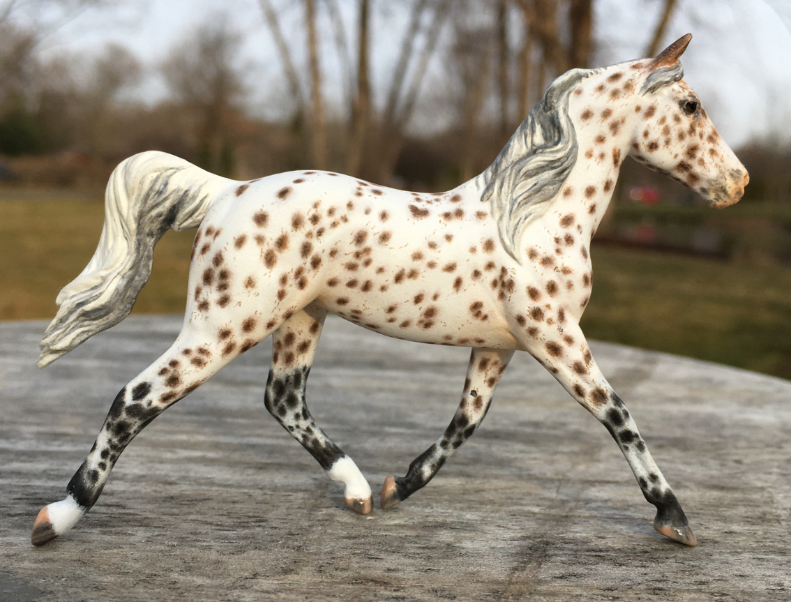 CM Breyer Prince Charming Stablemate Custom, a Arabian Appaloosa Araloosa mare by Sarah Tregay, a Custom Mini/ Stablemate Model Horse