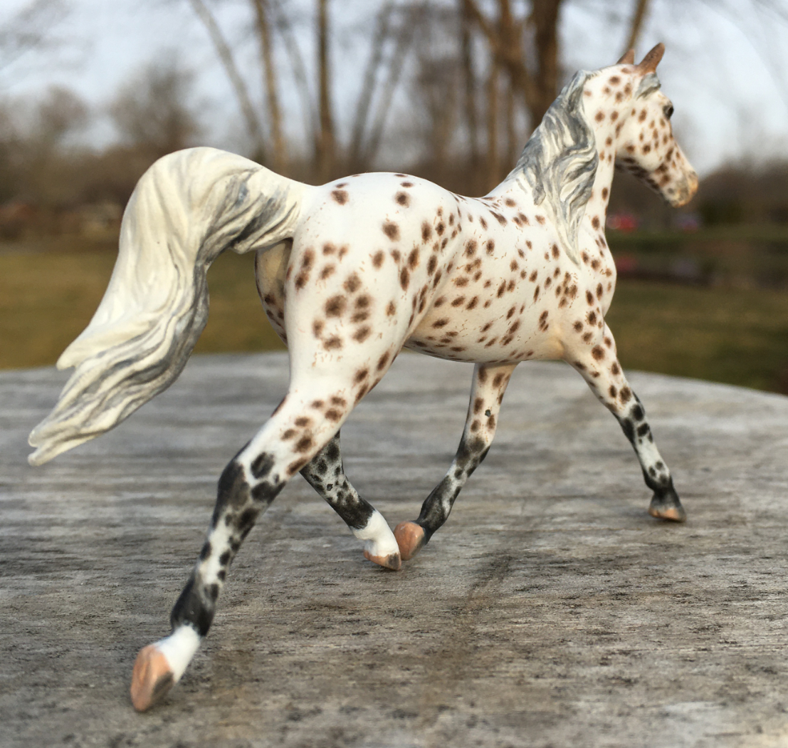 CM Breyer Prince Charming Stablemate Custom, a Arabian Appaloosa Araloosa mare by Sarah Tregay, a Custom Mini/ Stablemate Model Horse