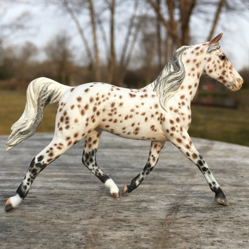 CM Breyer Prince Charming Stablemate Custom, a Arabian Appaloosa Araloosa mare by Sarah Tregay, a Custom Mini/ Stablemate Model Horse 