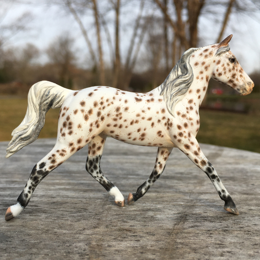 CM Breyer Prince Charming Stablemate Custom, a Arabian Appaloosa Araloosa mare by Sarah Tregay, a Custom Mini/ Stablemate Model Horse
