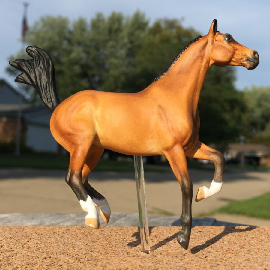 CM mini Alborozo Model horse / Breyer Stablemate Custom by Sarah Tregay in golden bay