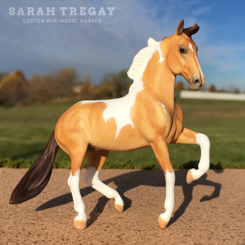 CM mini Alborozo Model horse / Breyer Stablemate Custom by Sarah Tregay in buckskin tobiano