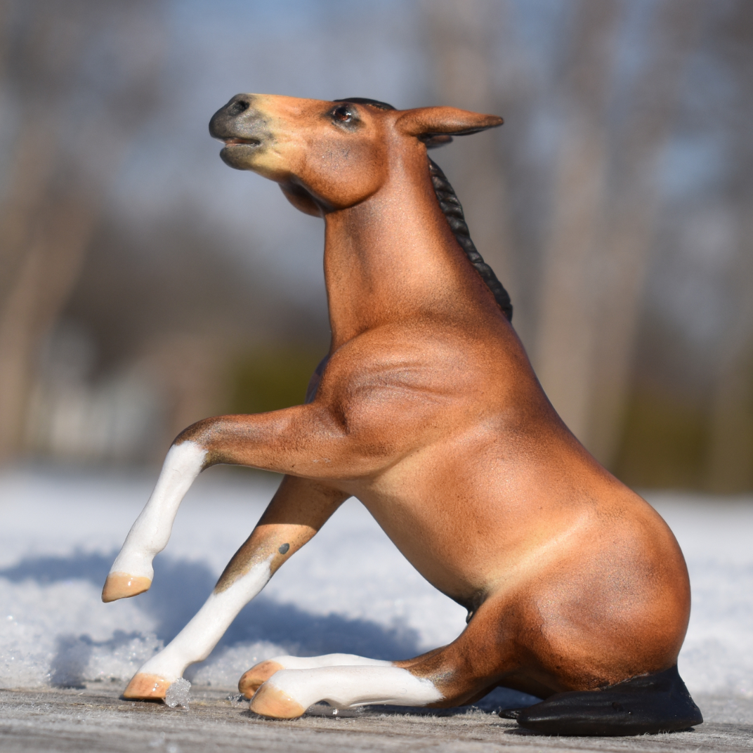 CM Breyer by Sarah Tregay, a  bay paint mule Custom Mini/ Stablemate Model Horse Breyer reining /sliding stop mold