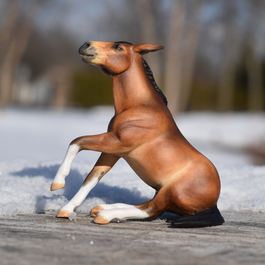 CM Breyer by Sarah Tregay, a  bay paint mule Custom Mini/ Stablemate Model Horse Breyer reining /sliding stop mold