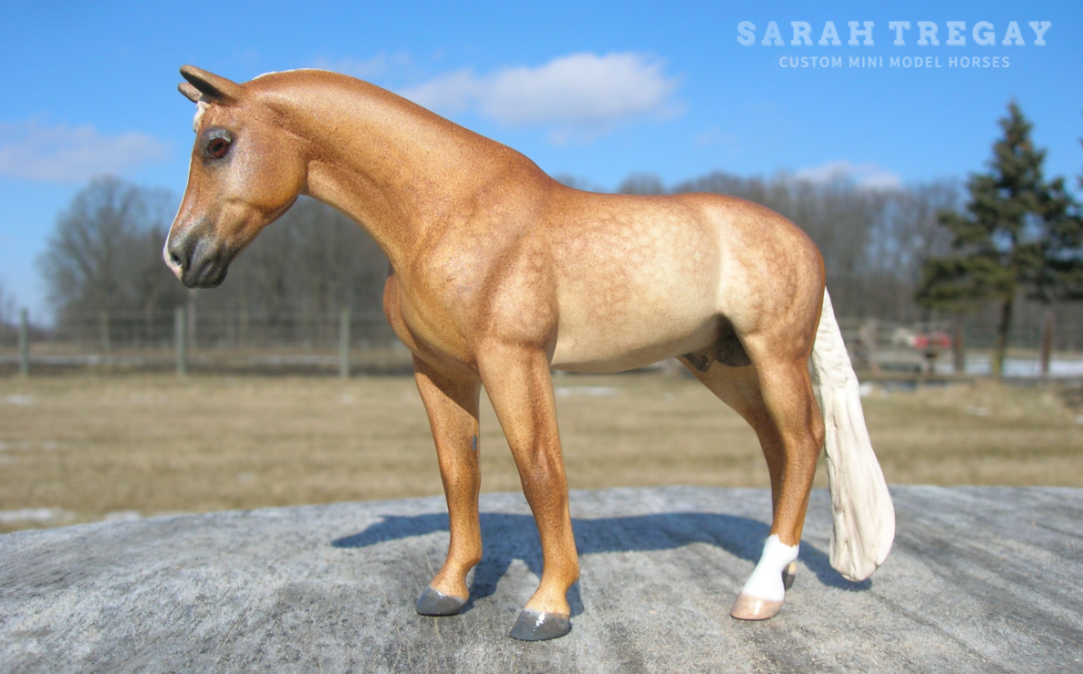Palomino Custom Stablemate by Sarah Tregay