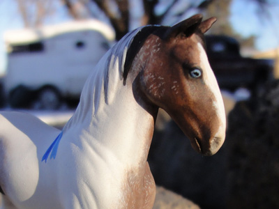 custom mini model horse by Sarah Tregay (Stone Chips Drafter CM with blue eye and roan pinto markings)