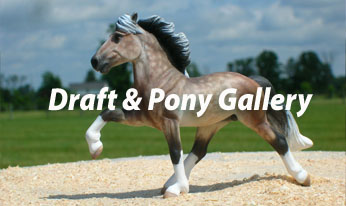 CM mini draft and pony breeds by Sarah Tregay