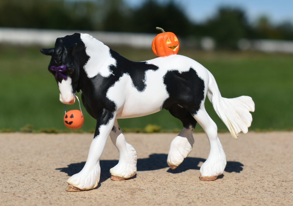 CM Breyer by Sarah Tregay, a Custom Mini/ Stablemate Model Horse to black and white pinto drum horse with purble bow and jack-o-lantern, a Halloween decorator Breyer Stablmate