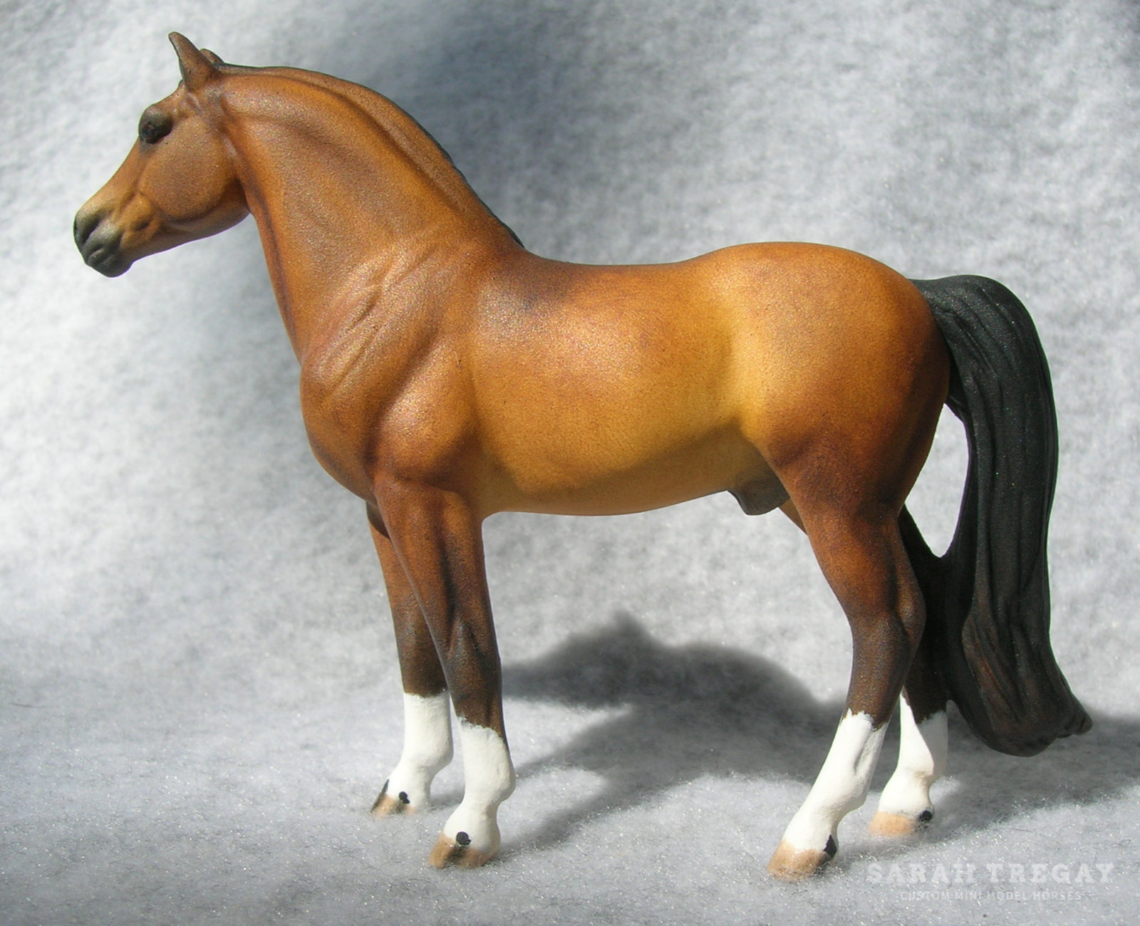 CM Mini Morgan by Sarah Tregay, a Custom Mini/ Stablemate Model Horse dapple bay