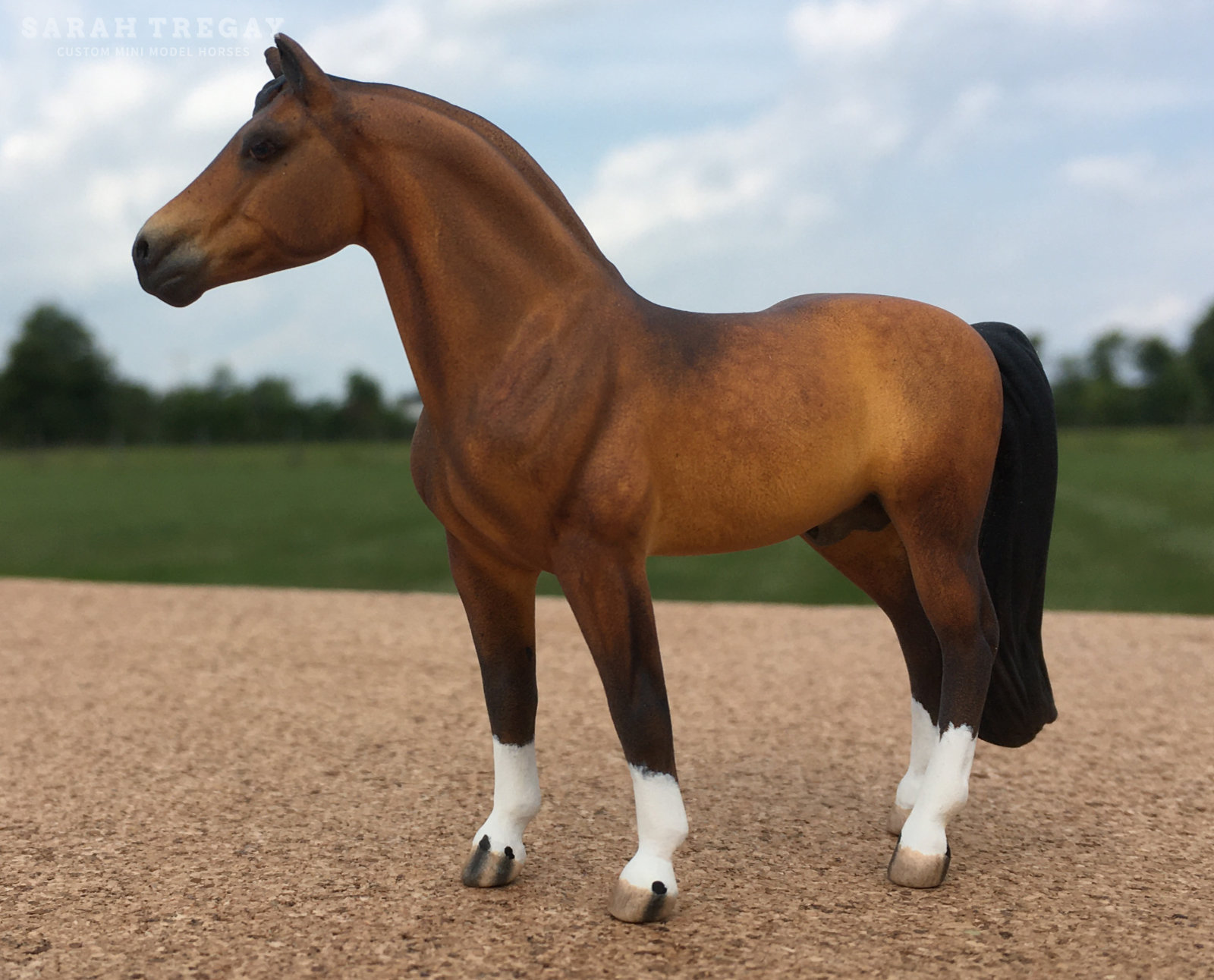 CM Mini Morgan by Sarah Tregay, a Custom Mini/ Stablemate Model Horse dapple bay