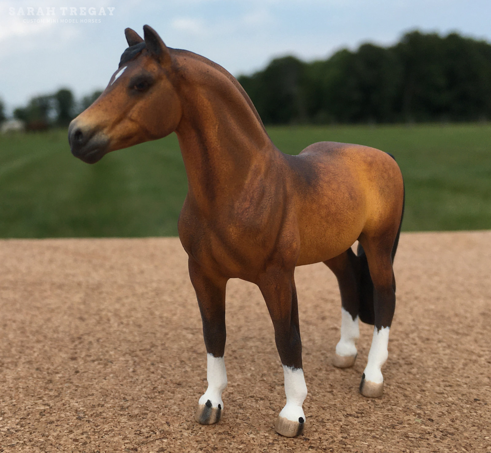 CM Mini Morgan by Sarah Tregay, a Custom Mini/ Stablemate Model Horse dapple bay