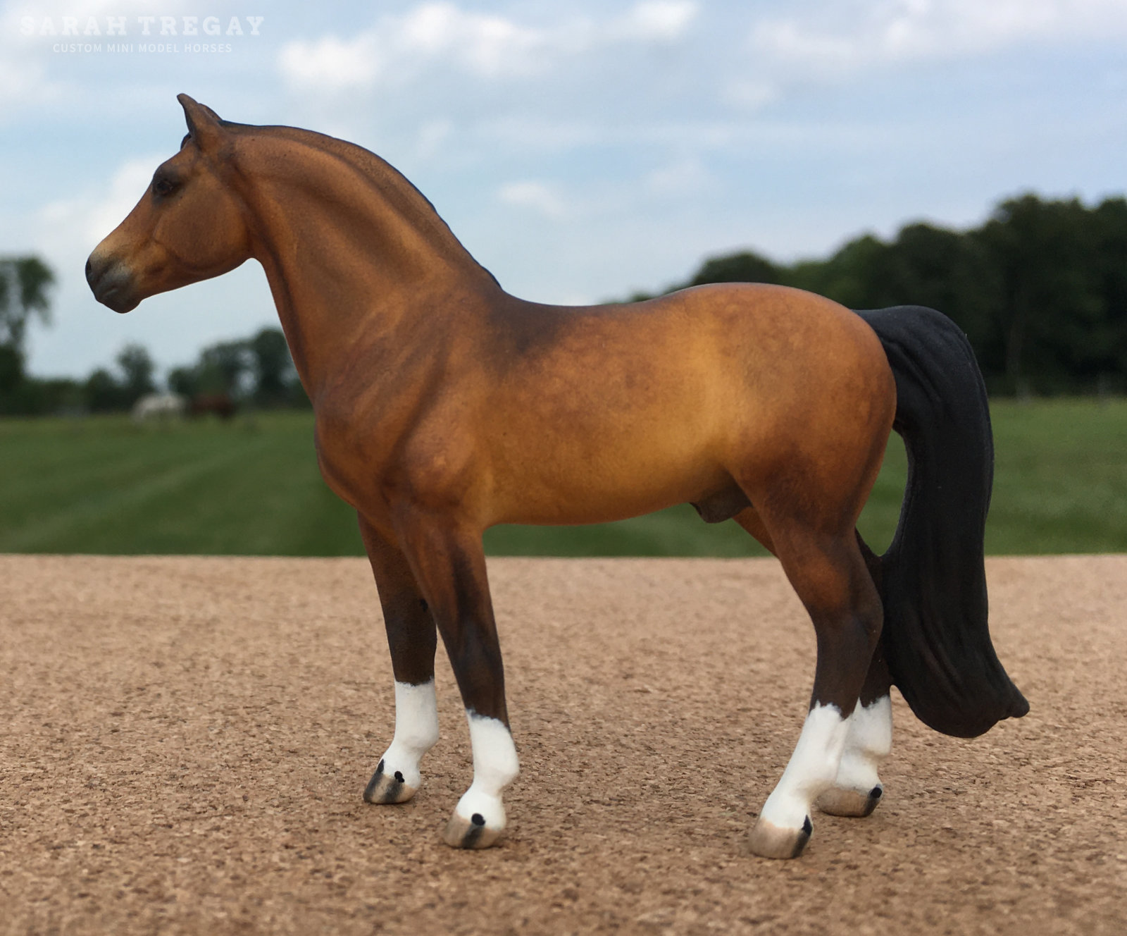 CM Mini Morgan by Sarah Tregay, a Custom Mini/ Stablemate Model Horse dapple bay