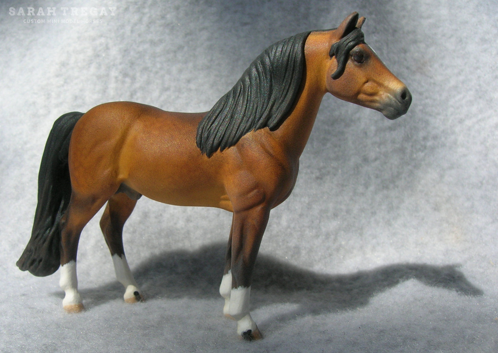 CM Mini Morgan by Sarah Tregay, a Custom Mini/ Stablemate Model Horse dapple bay