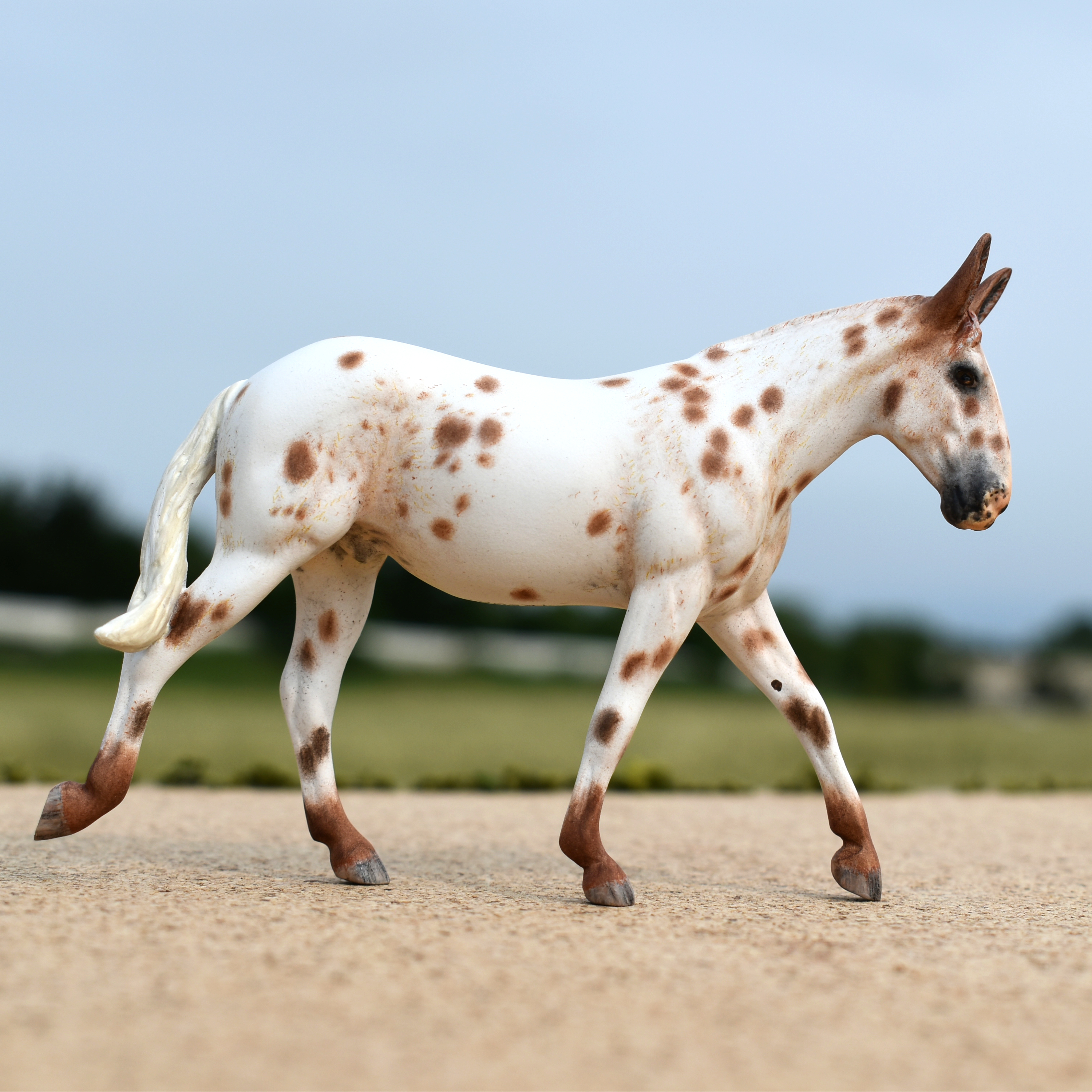 CM model horse mule Custom Breyer Stablemate (mini) by Sarah Tregay appaloosa mule