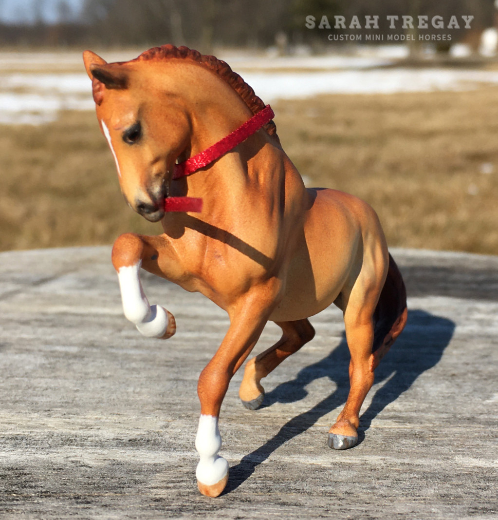 CM Breyer Croi Stablemate, a red dun German riding pony mare by Sarah Tregay, a Custom Mini/ Stablemate Model Horse