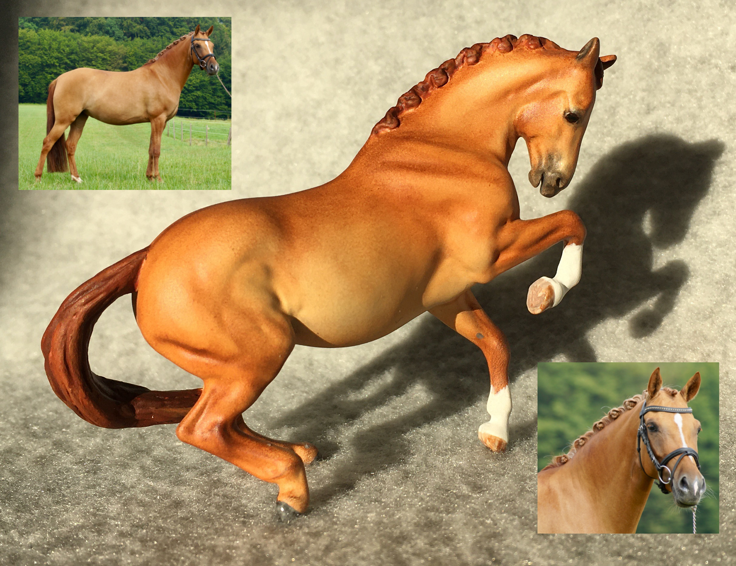 CM Breyer Croi Stablemate, a red dun German riding pony mare by Sarah Tregay, a Custom Mini/ Stablemate Model Horse