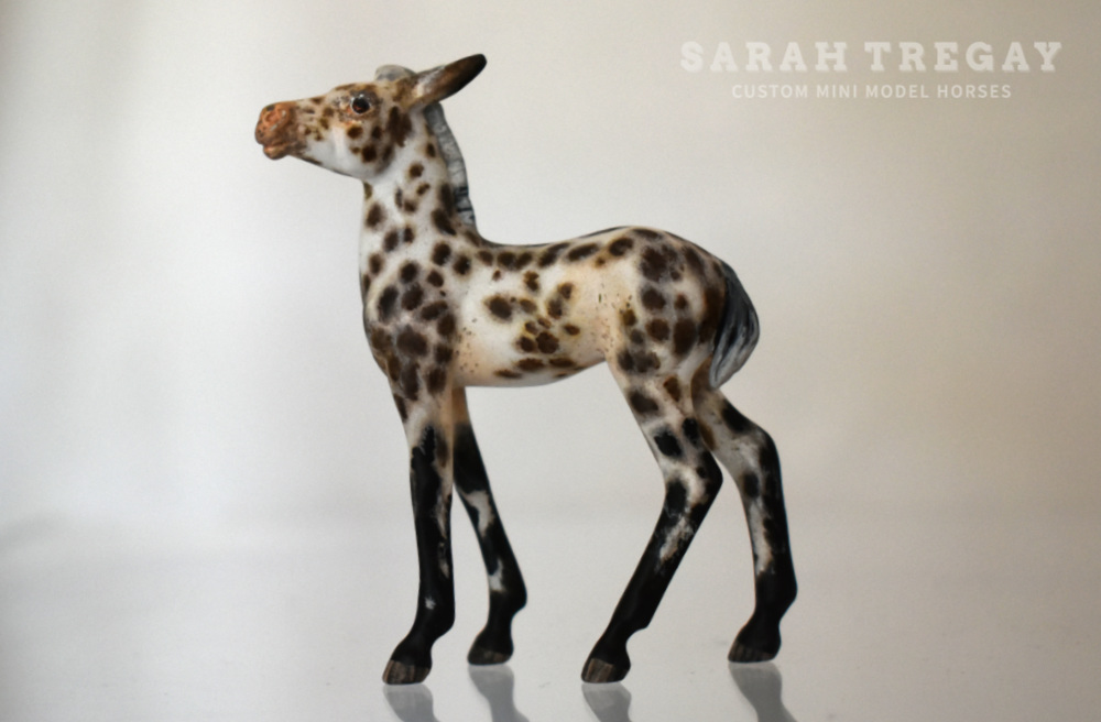 CM model horse mule Custom Breyer Stablemate (mini) by Sarah Tregay appy mule