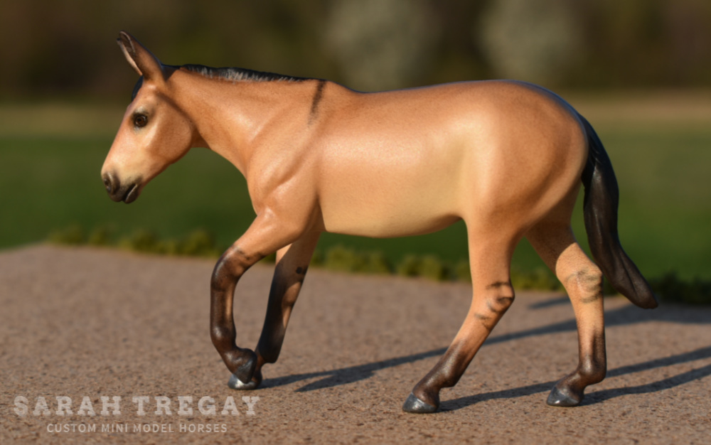 CM model horse mule Custom Breyer Stablemate (mini) by Sarah Tregay buckskin mule
