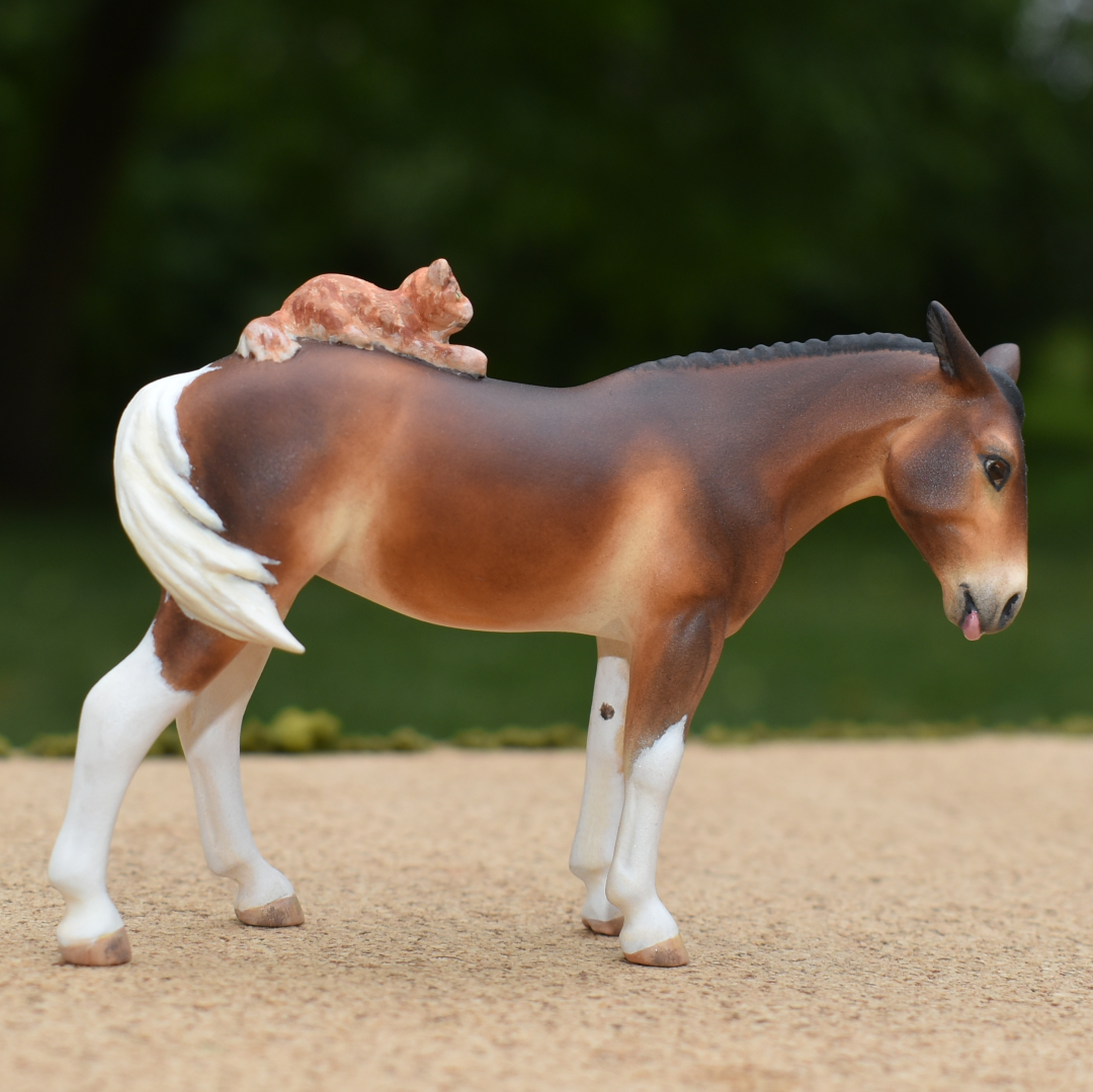 CM model horse mule Custom Breyer Stablemate (mini) by Sarah Tregay pinto mule