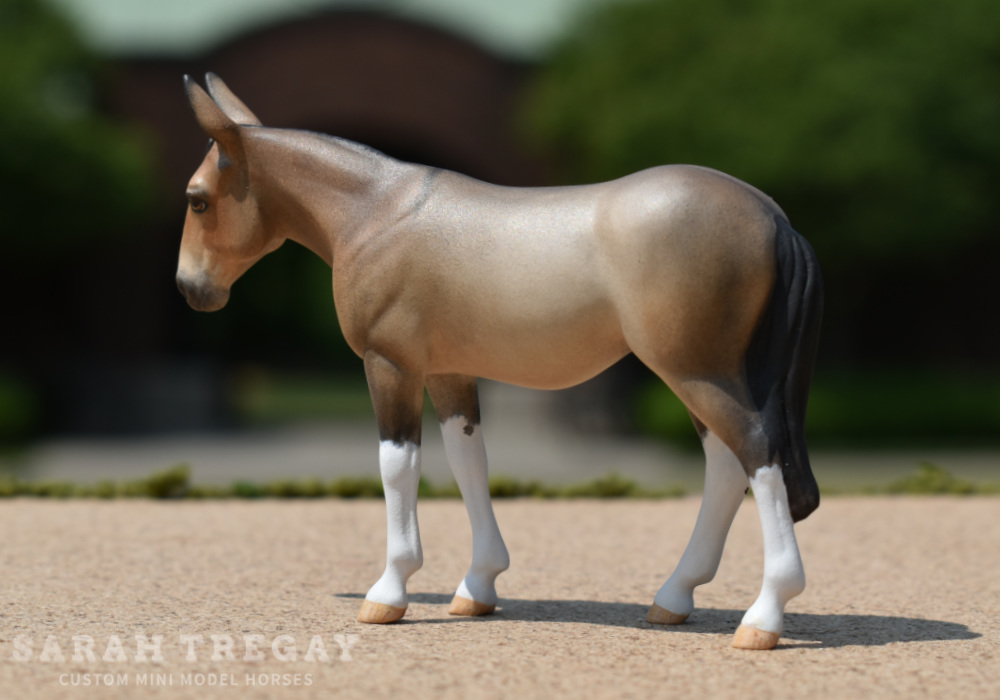 CM model horse mule Custom Breyer Stablemate (mini) by Sarah Tregay grulla mule