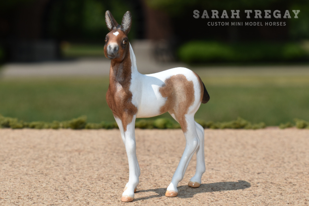 CM model horse mule Custom Breyer Stablemate (mini) by Sarah Tregay pinto mule