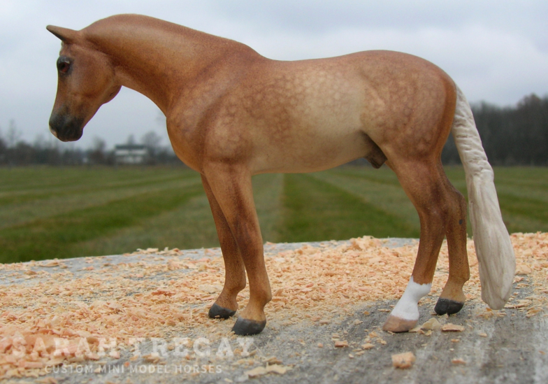 Palomino Custom Stablemate by Sarah Tregay