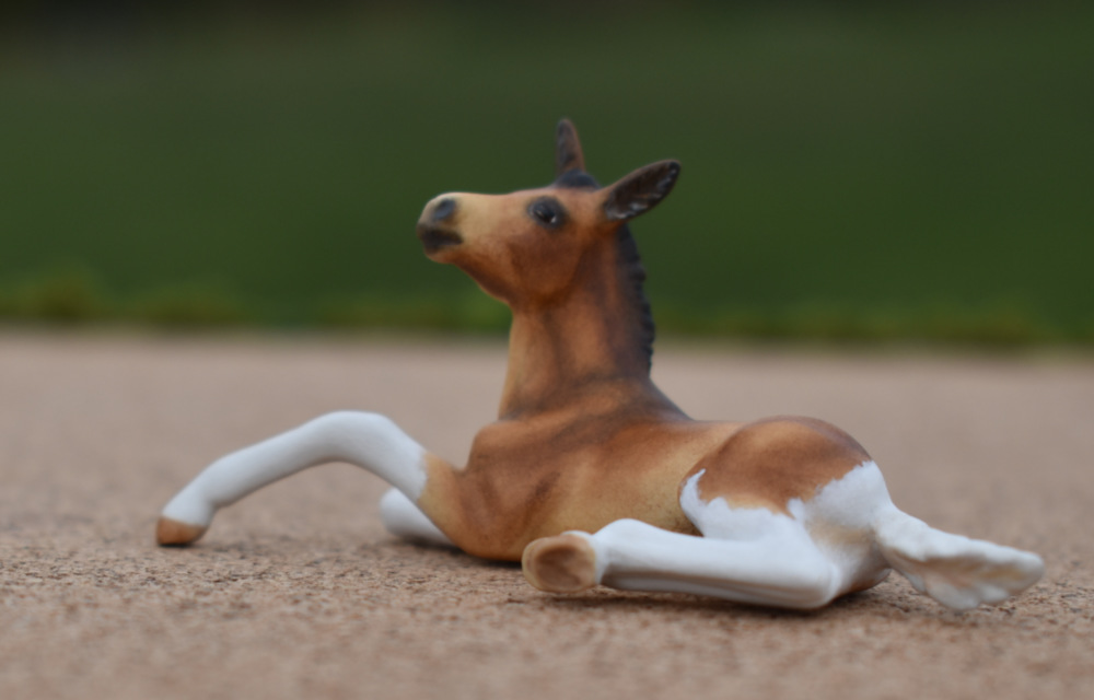 Bay pinto Mule foal Stablemate Custom mini model horse by Sarah Tregay