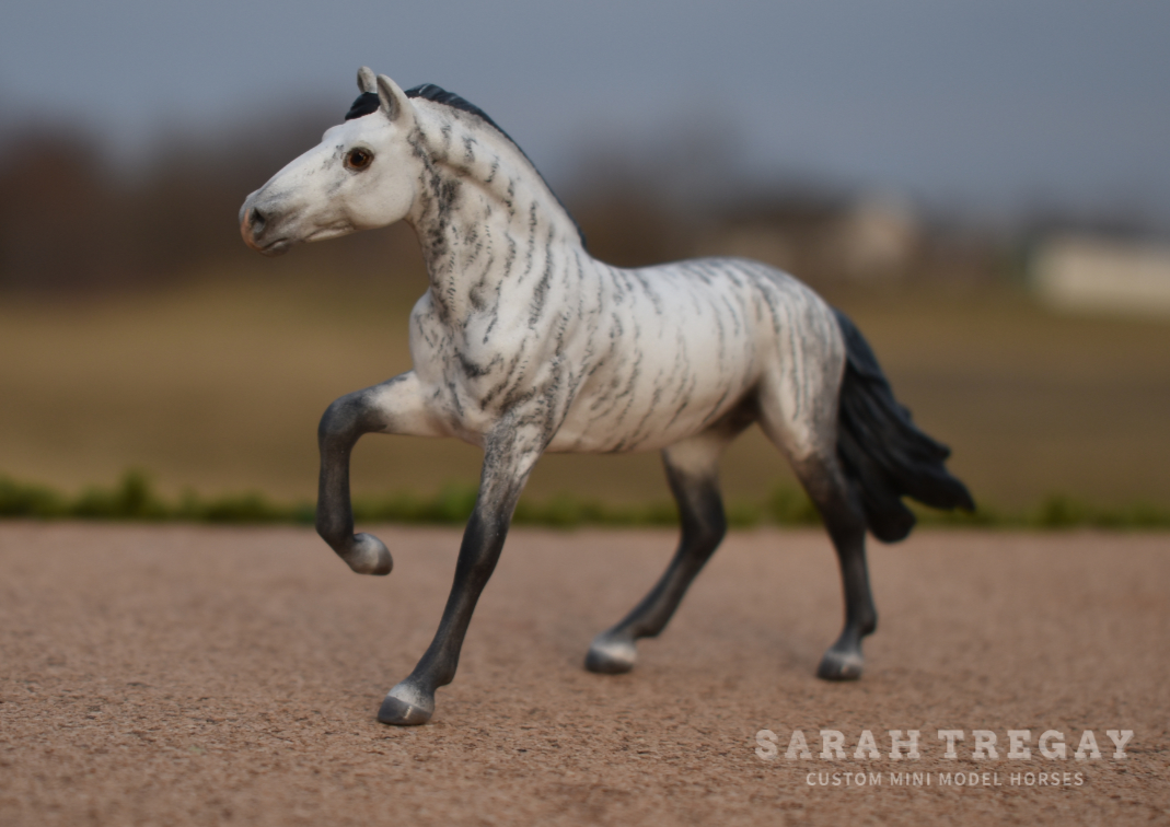 CM Breyer by Sarah Tregay, a Custom Mini/ Stablemate Model Horse to brindle lusitano / Spanish breed