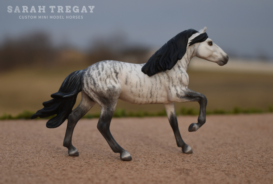 CM Breyer by Sarah Tregay, a Custom Mini/ Stablemate Model Horse to brindle lusitano / Spanish breed