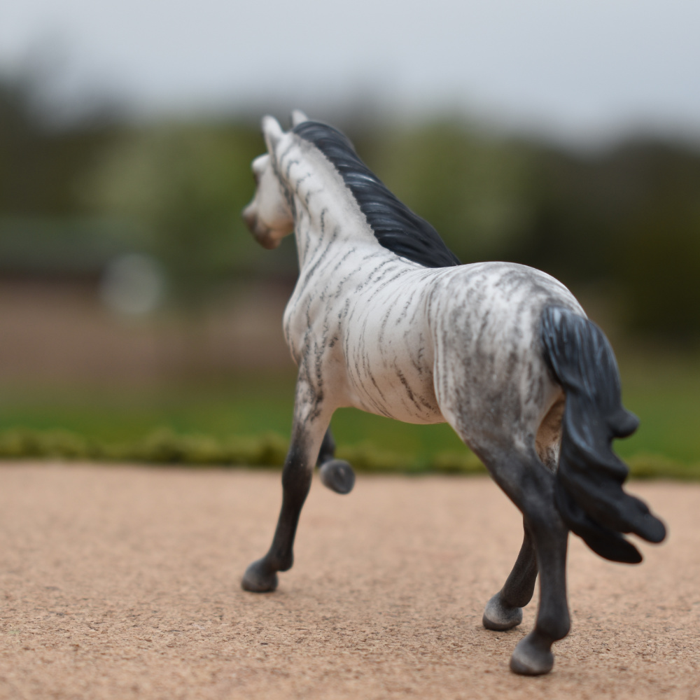 CM Breyer by Sarah Tregay, a Custom Mini/ Stablemate Model Horse to brindle lusitano / Spanish breed