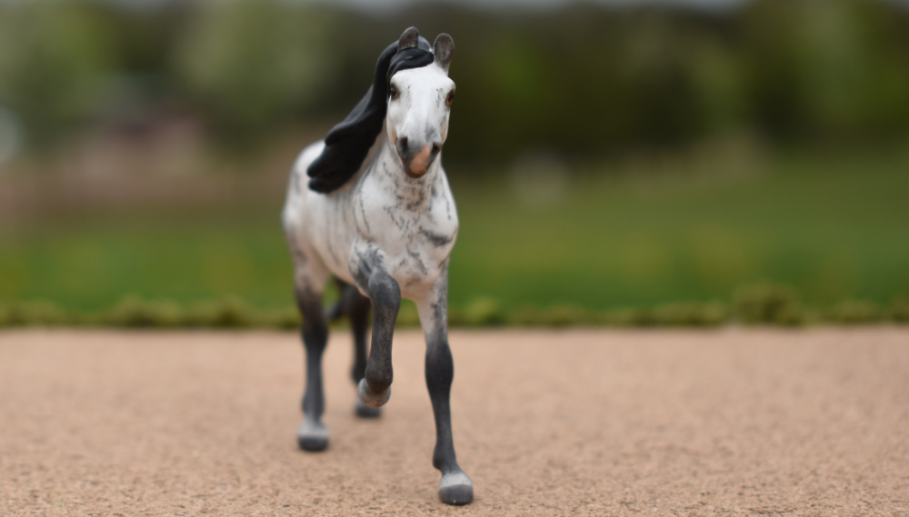 CM Breyer by Sarah Tregay, a Custom Mini/ Stablemate Model Horse to brindle lusitano / Spanish breed