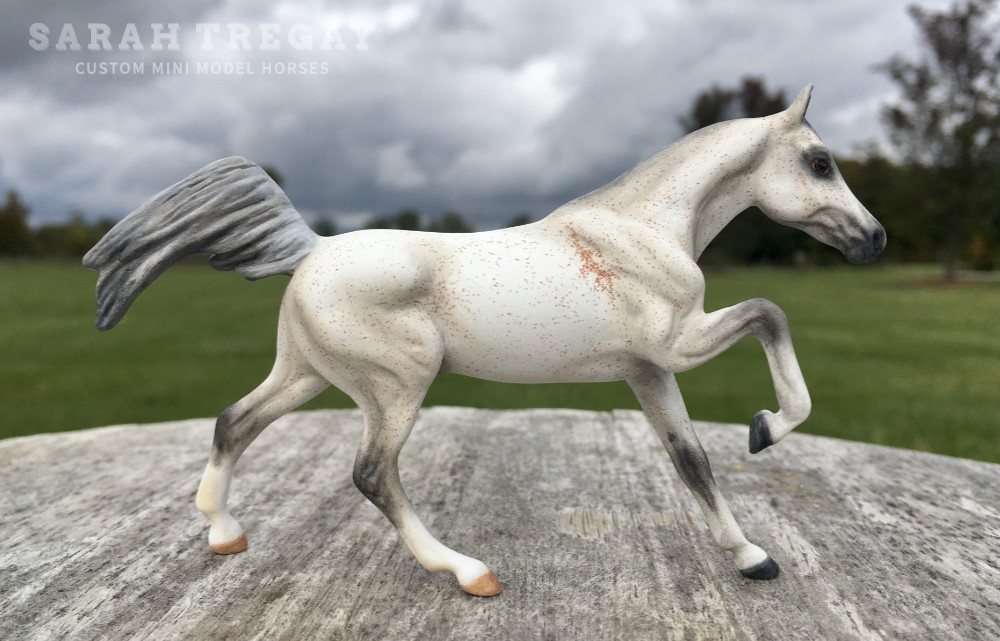 CM Darley Mold, Nabil, a bloody shoulder Arabian by Sarah Tregay, a Custom Mini/ Stablemate Model Horse