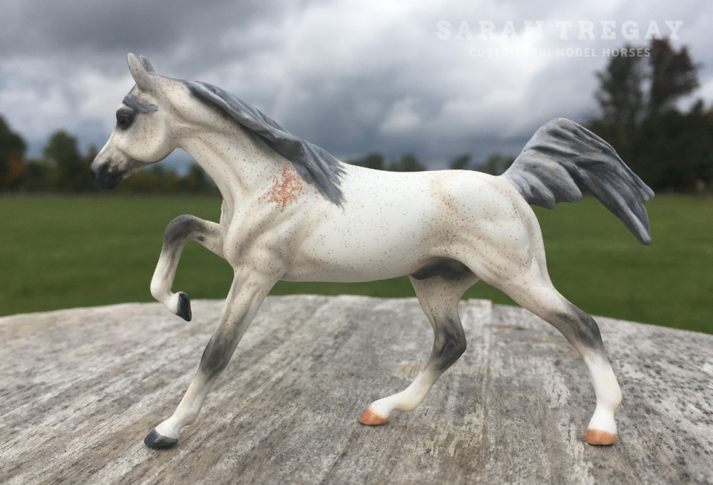 CM Darley Mold, Nabil, a bloody shoulder Arabian by Sarah Tregay, a Custom Mini/ Stablemate Model Horse
