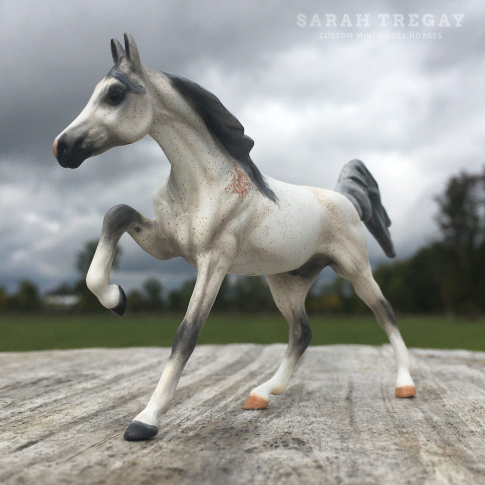 CM Darley Mold, Nabil, a bloody shoulder Arabian by Sarah Tregay, a Custom Mini/ Stablemate Model Horse